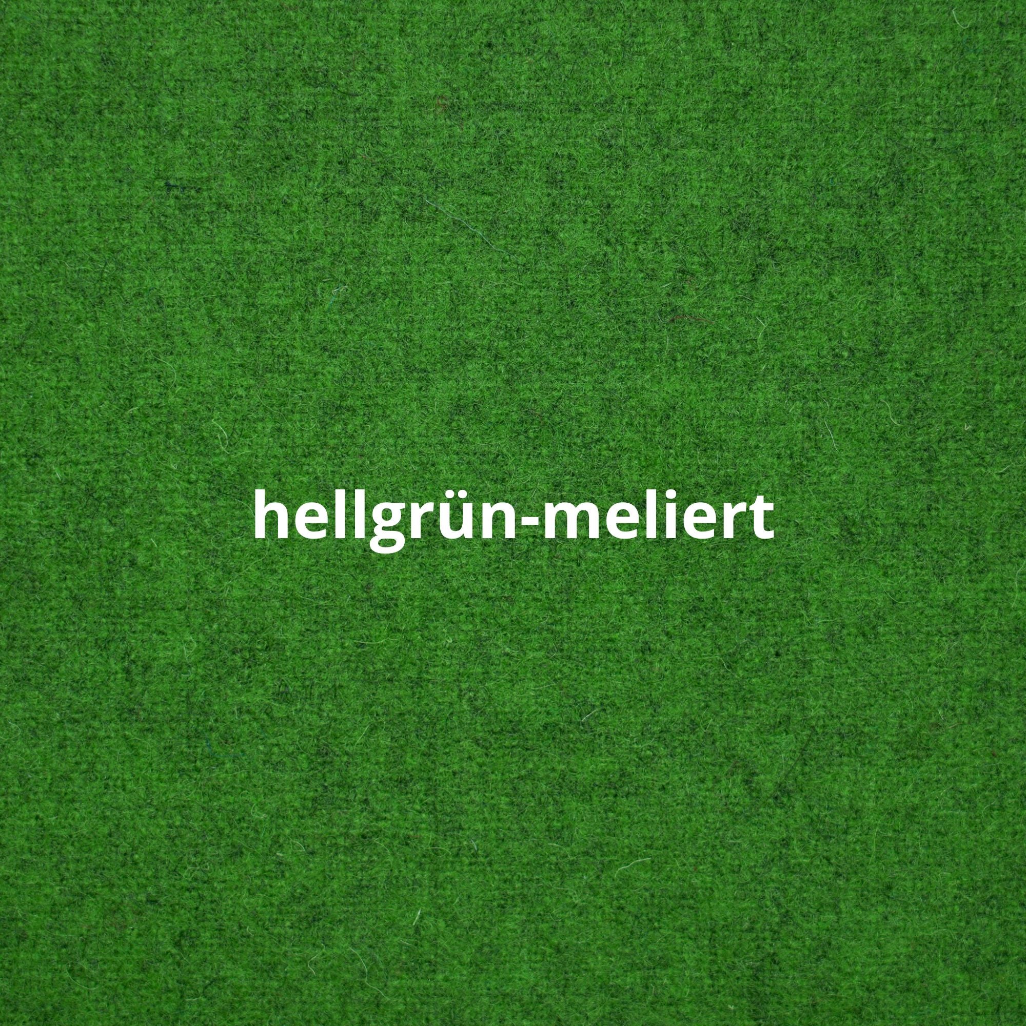 Loden Dog Coat (made to measure)