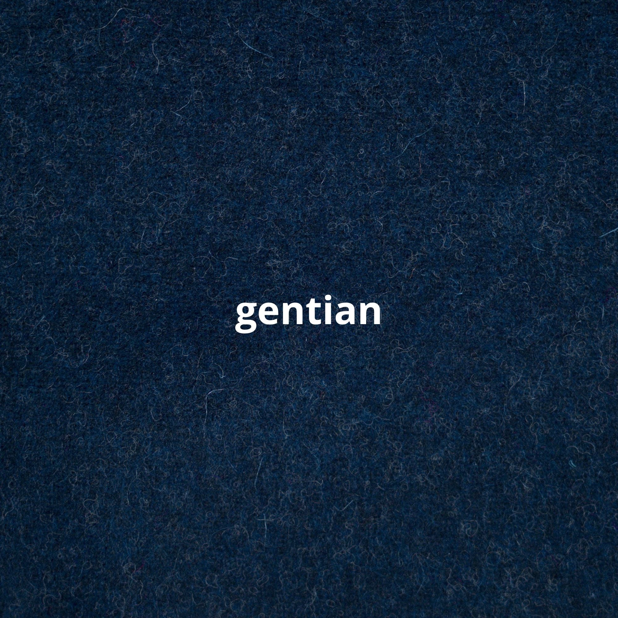 Wetterfleck "Salzburg Mini"