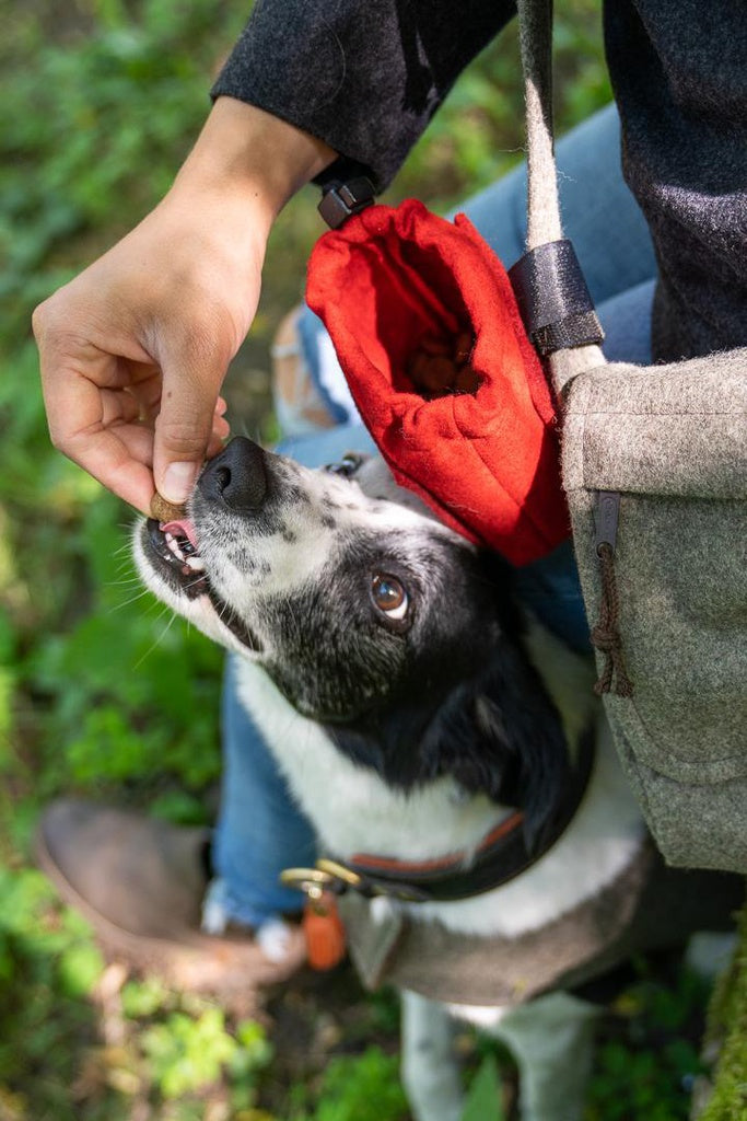 Loden Treat Bag for Dogs