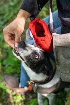 Loden Treat Bag for Dogs