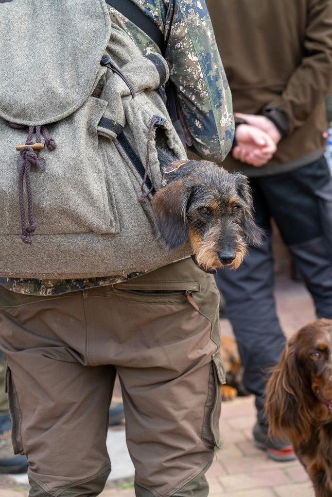 reiserucksack hund Hunderucksack „Terri“ 30 l – Hubertusloden GmbH